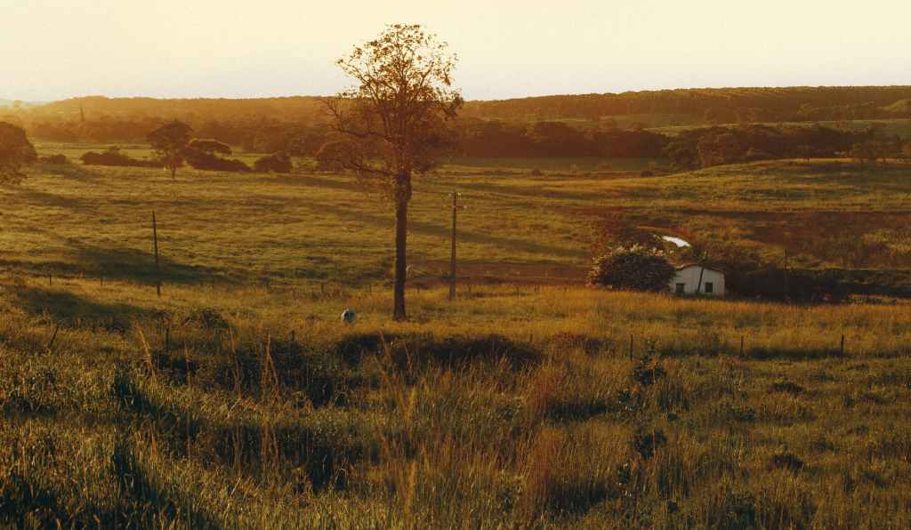 How to build “safe houses” for God’s&nbsp;people?